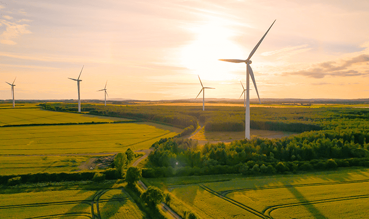 View of a UK countryside featuring wind turbines among the grass and hedgerows at sunset