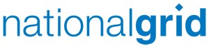 NG blue logo